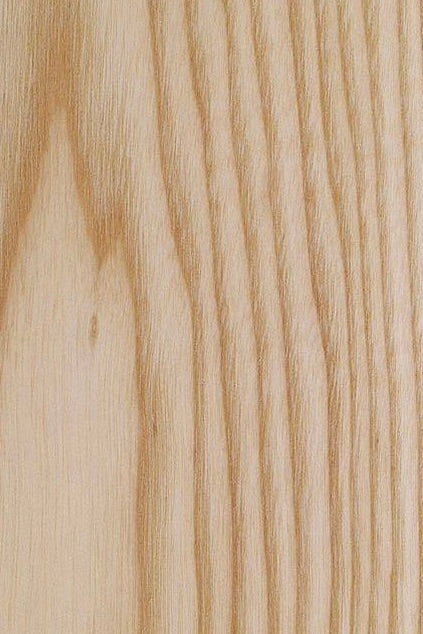 Northern White Ash Triangle Humidor