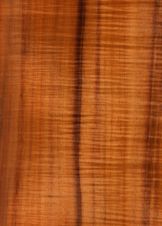 Koa Triangle Humidor