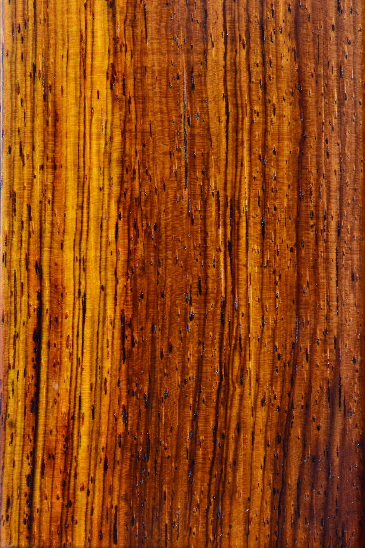 Cocobolo Rectangle Humidor