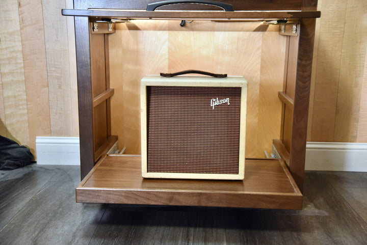 Flip In door tucked above the amplifier, showing the specialty hinge mechanism