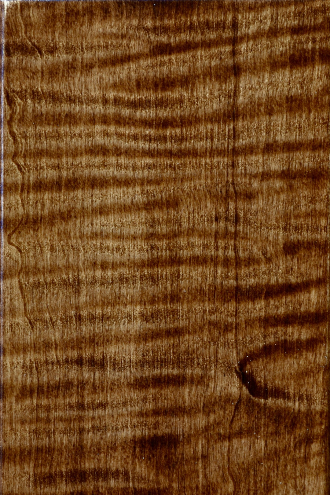 Flamed Maple with Boston Stain Rectangle Humidor