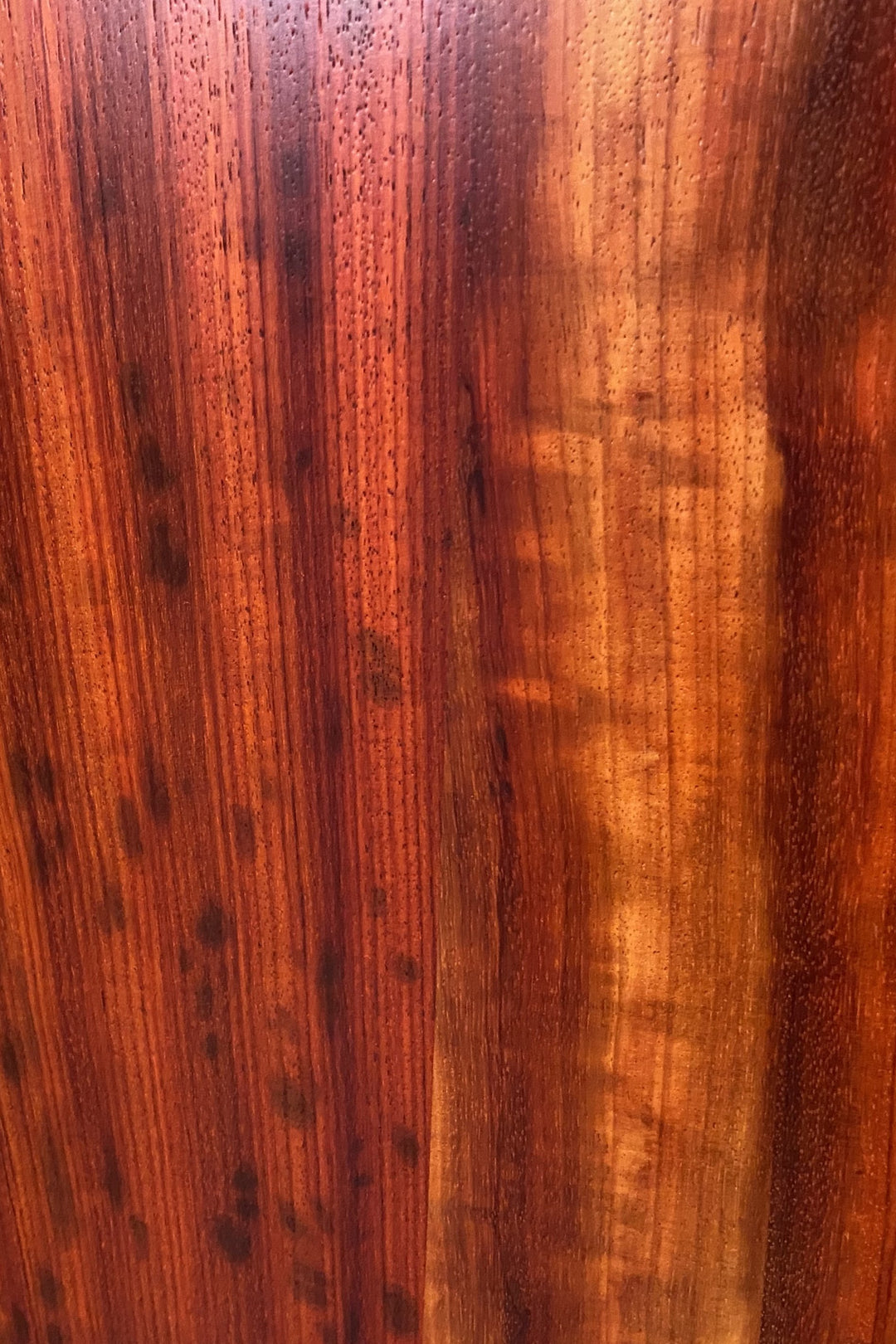 African Paduk Rectangle Humidor